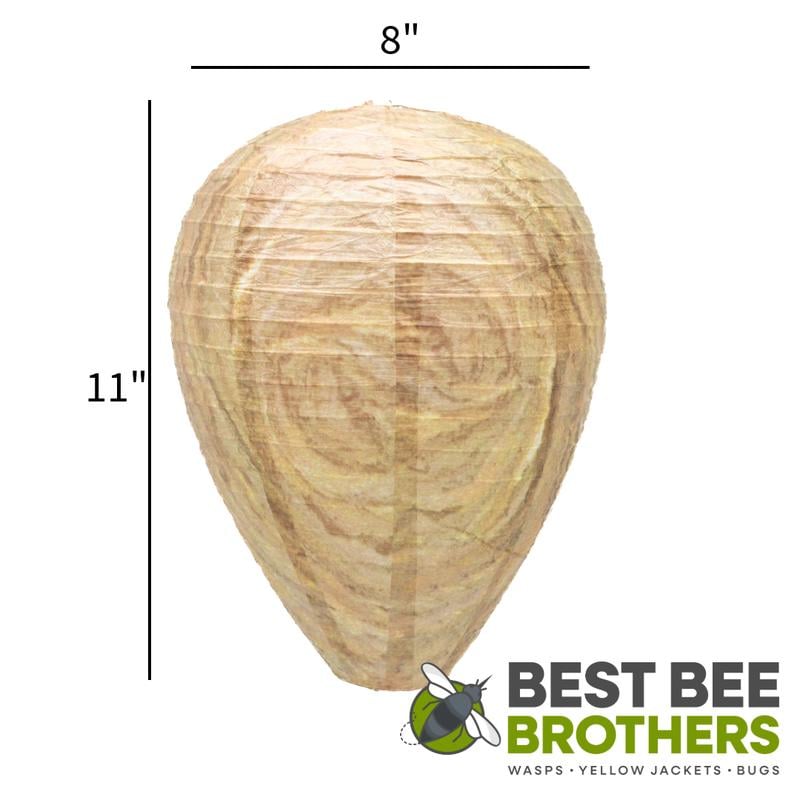 Best Bee Brothers Natural Wasp Deterrent Hives - Protect Your Yard from territorial wasps