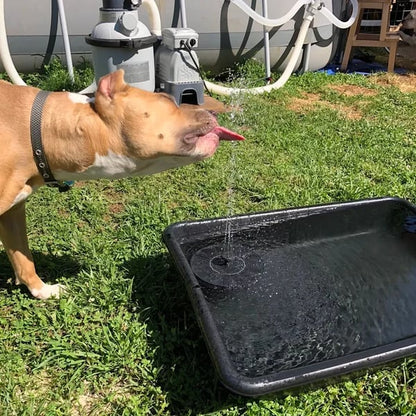💥Solar Powered Water Fountain